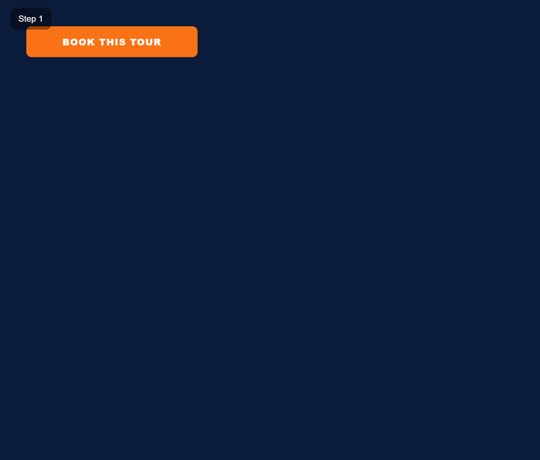 Animated demo of the WanderLux Pro multi-step booking flow